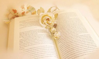 表白句子 表白句子有什么