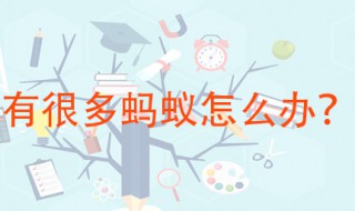 家里蚂蚁多怎么处理 这些方法都非常有用