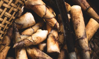 竹笋怎么处理才能吃 竹笋的标准处理方式