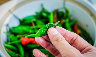 泡辣椒怎么腌制不会烂 有什么腌制的技巧