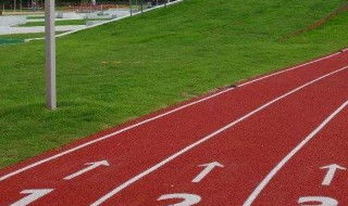 运动会的场面描写 运动会的场面描写有什么