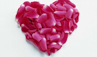 怎么做情人玫瑰 怎么做手工玫瑰