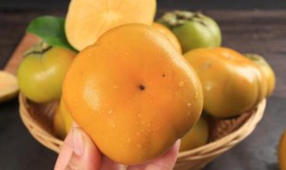 脆柿子怎么做 脆柿子的做法