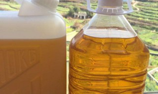 茶油最快的祛斑方法 具体是怎么祛斑的