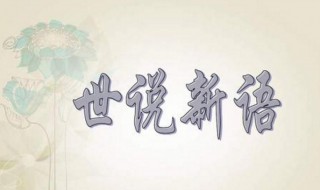 世说新语读后感600字 世说新语读后感范文欣赏