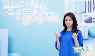 完美先生和差不多小姐电视剧剧情 完美先生和差不多小姐简介