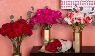 表达爱意送什么花 表达爱意送什么花好