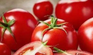 吃西红柿可以减肥吗 西红柿有助于减肥