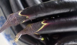 紫茄子怎么做好吃简单 做紫茄子的方法