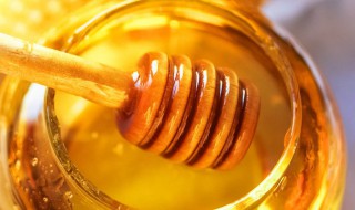 蜂蜜如何保存 保存蜂蜜的方法