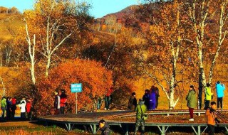 落叶的秋唯美句子 落叶的秋句子举例