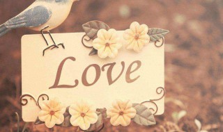 不离不弃的句子 爱情 不离不弃的唯美句子