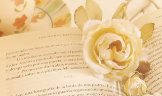 甜蜜的句子 甜蜜的长句说说如何写