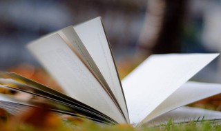 形容凉爽惬意的句子 有什么话可以形容凉爽惬意