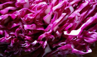 紫甘蓝怎么做好吃凉拌 紫甘蓝好吃的凉拌方法