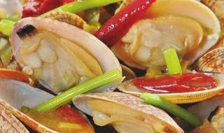 怎样炒花蛤好吃又鲜 花蛤怎么做才好吃