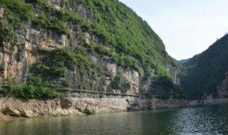 自非亭午夜分的自是什么意思 有关自非亭午夜分的原文介绍