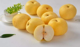 秋梨膏的制作 秋梨膏的制作方法