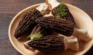 鲜羊肚菌怎么做好吃 羊肚菌素炒怎么做