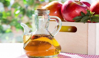 果醋的制作 果醋的制作方法