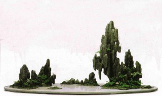 碱性假山如何处理能让植物成长 它的培育方法是什么