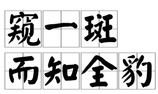 窥一斑而知全豹的意思 窥一斑而知全豹解释