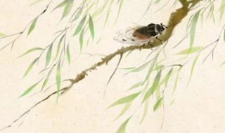 非是藉秋风的藉的意思 有关非是藉秋风原文和翻译