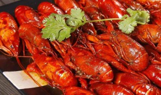麻辣龙虾怎样做才好吃 麻辣龙虾的做法