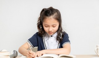 读书笔记50字 五篇童话的简短读后感分享