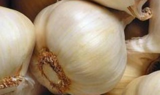 生蒜头吃了有什么好处和坏处 好处和坏处分别有什么?