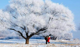 句中带有雪的诗句 描写雪或带有雪字的古诗词句子