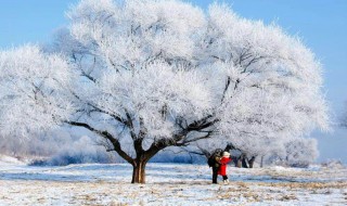 关于雪的唯美古诗句 描写雪景的唯美古诗句