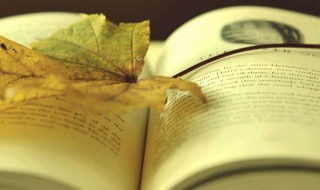 醉翁之意不在酒的意思 醉翁之意不在酒的意思简述