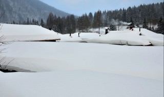 撒盐空中差可拟的意思 咏雪文言文翻译