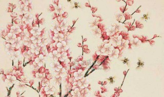 红杏枝头春意闹的意思 红杏枝头春意闹原文及译文