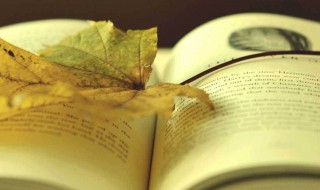 山木诗词全集作者是谁 山木诗词全集作者是Littlesen