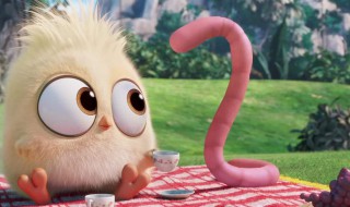 抓捕蚯蚓的方法 如何捕捉蚯蚓