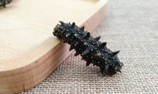 自己发海参方法 怎么发海参