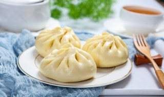 包子怎么做的 包子做法介绍