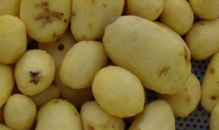 去皮的土豆怎么保存 保存土豆的妙招