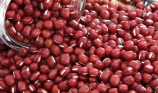 红豆生粉做法 做生粉的方法