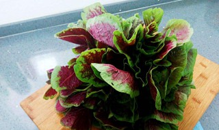 红叶苋菜如何做 红叶苋菜这样做简单又好吃