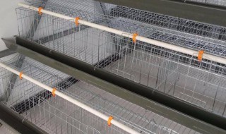 下蛋鸡笼怎样做 下蛋鸡笼做的方法