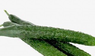 怎样做炸黄瓜 炸黄瓜的方法