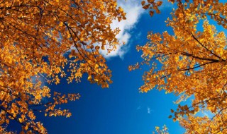 关于秋天的谚语 关于秋天的谚语有哪些