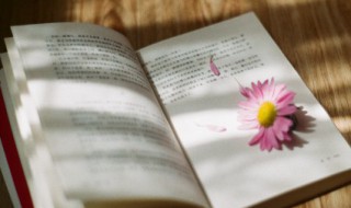 关于梦想的诗句 梦想名句推荐