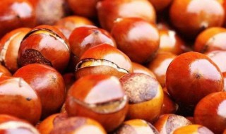 栗子适合哪些人吃 栗子适合的人群简述