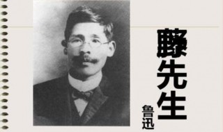 藤野先生读书笔记 藤野先生读书笔记有哪些