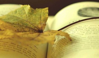 空庭得秋长漫漫寒露入暮愁衣单什么意思 空庭得秋长漫漫寒露入暮愁衣单意思简述