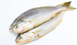 鲈鱼蒸多长时间就熟了 蒸鲈鱼多长时间能熟